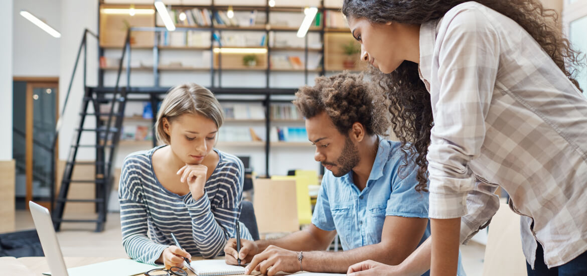 Software project planning and development